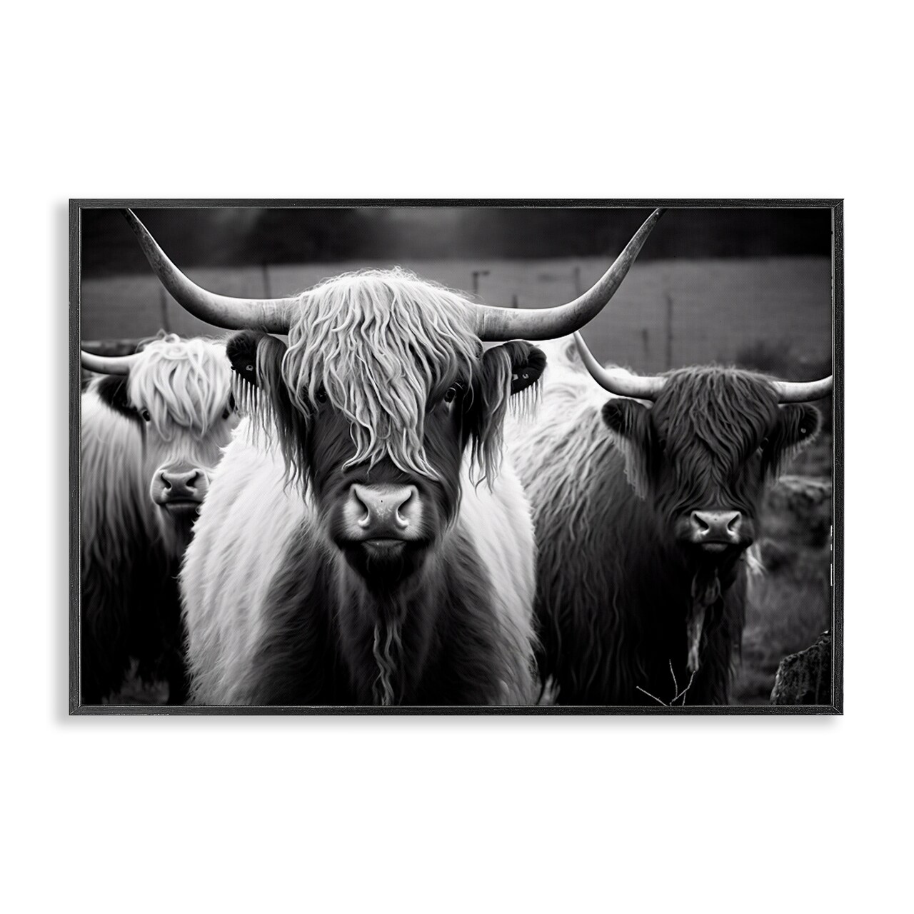 Stupell Industries Black & White Highland Cows Framed Giclee Wall Art Design by Franklyn Gregory